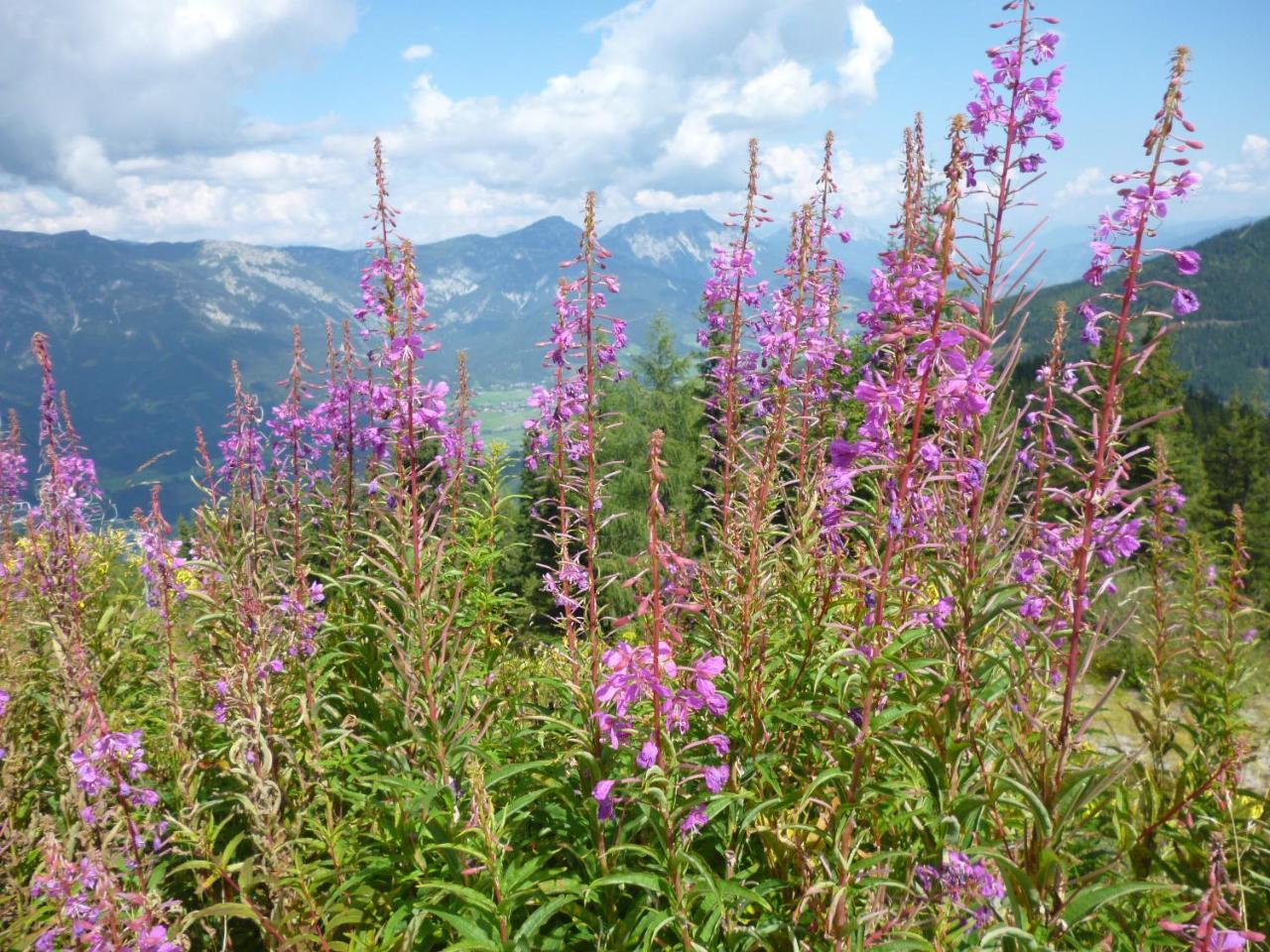 Ferienhaus Untergladner Schladming Eksteriør billede